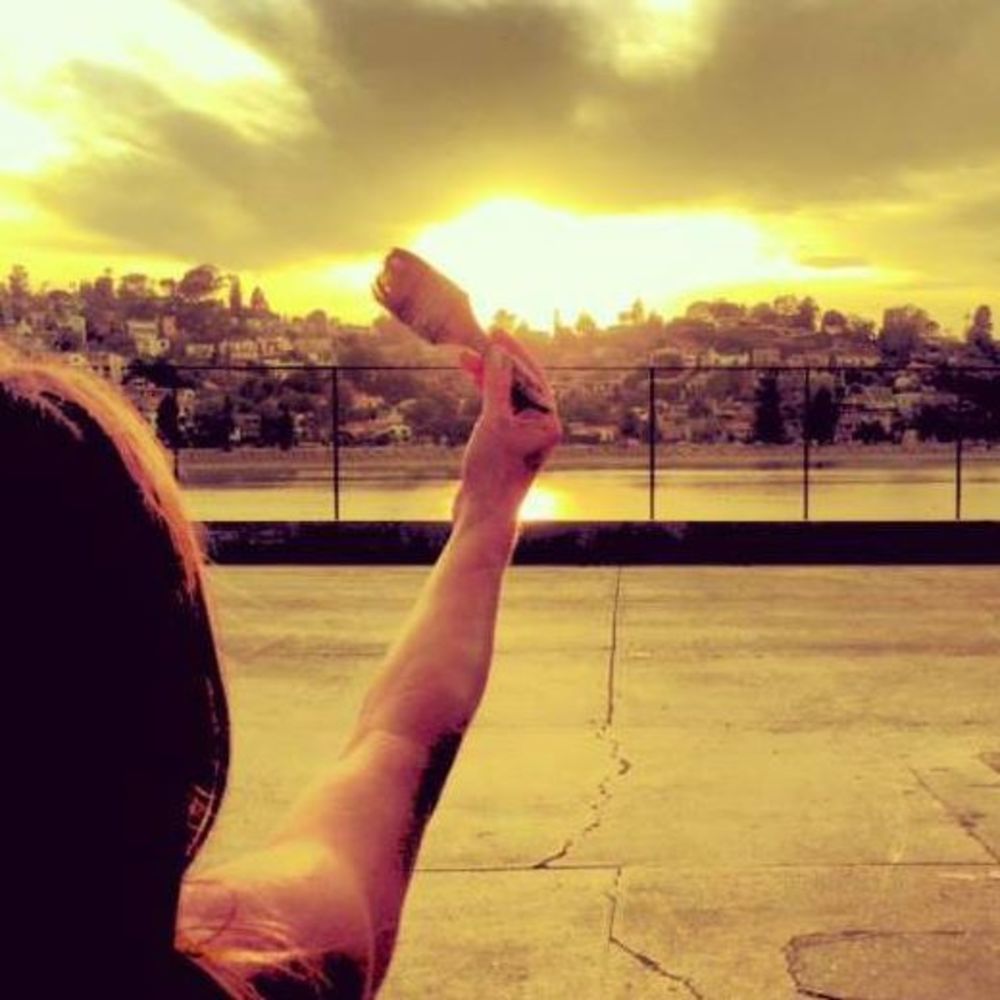 Meet your Posher, Fluffy